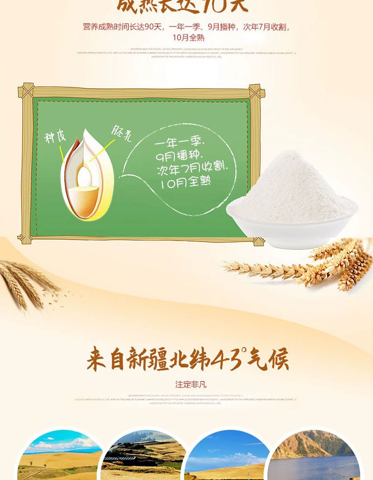 新疆雪花小麦粉详情1页_02.jpg