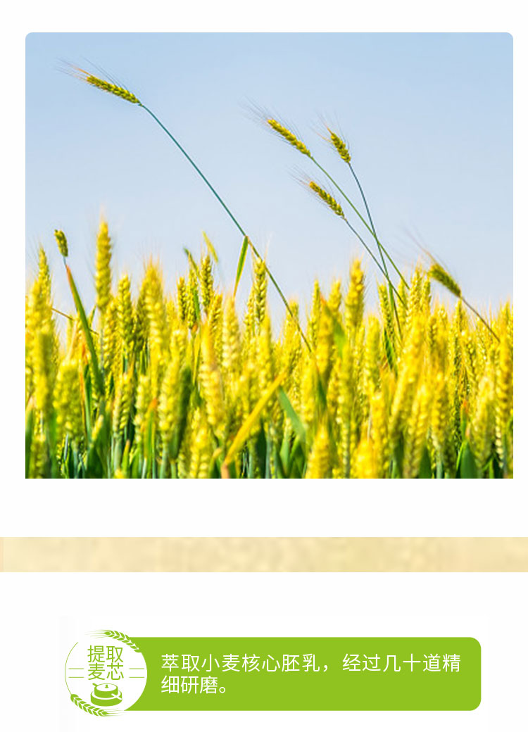 豪康麦芯颗粒小麦粉详情页_02.jpg